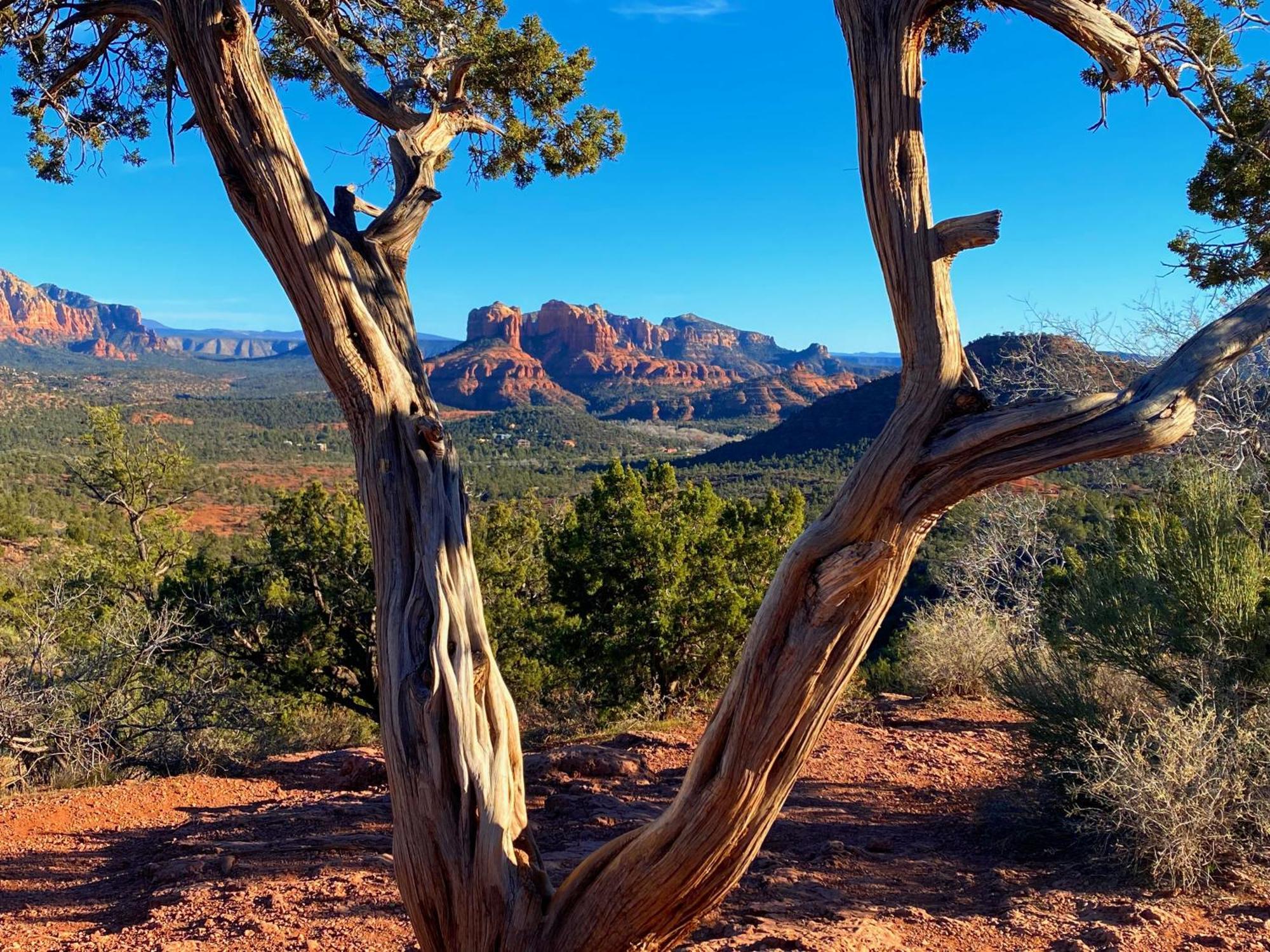 Sedona'S Paradise Found, Saltwater Pool And Hot Tub, Private Oasis! Eksteriør billede